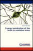 Energy Metabolism of the Brain in Oxidative Stress