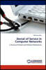 Denial of Service in Computer Networks