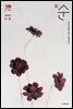매일성경 순  2022년 1-2월호(요한복음, 시편)