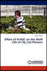 Effect of 8-Hqc on the Shelf Life of Lily Cut Flowers