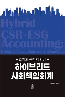 하이브리드 사회책임회계