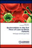 Bacteroidetes in the Gut Flora of Lean & Obese Patients
