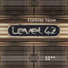 Level 42 (레벨 포티투) - 10집 Forever Now [LP]