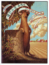 웨인스콧 족제비