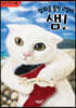 장화를 훔친 고양이 샘!
