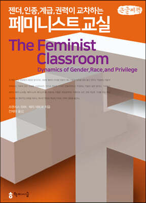 젠더, 인종, 계급, 권력이 교차하는 페미니스트 교실 (큰글씨책)
