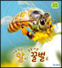 아주 작은 알이 붕붕 바쁜 꿀벌로