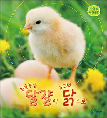 동글동글 달걀이 푸드덕 닭으로
