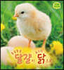 동글동글 달걀이 푸드덕 닭으로