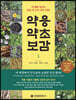 약용약초보감