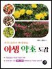 우리 산야에 자생하는 야생 약초 도감