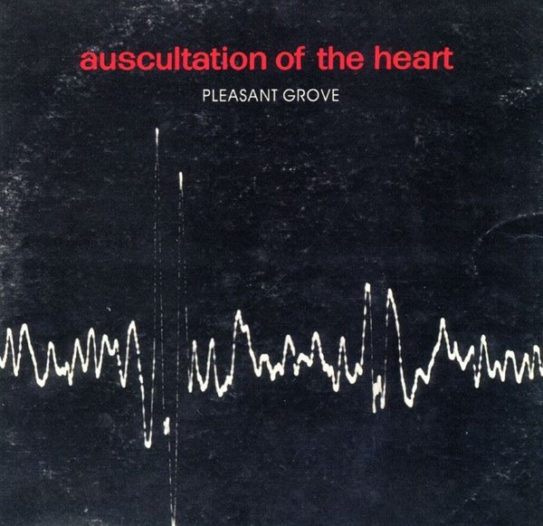 플레젼트 그루브 - Pleasant Grove - Auscultation Of The Heart [독일발매]