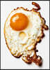 The Gourmand's Egg. a Collection of Stories and Recipes