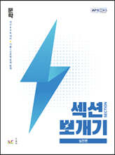 섹션뽀개기 실전편 문학