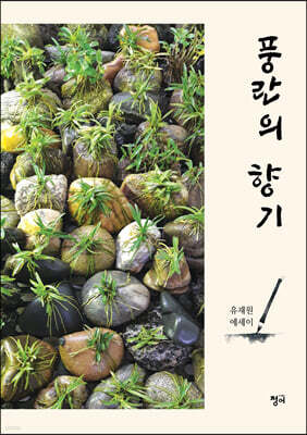풍란의 향기