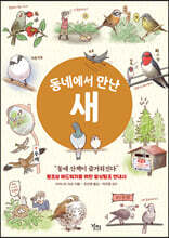 동네에서 만난 새