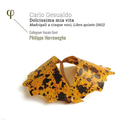 Collegium Vocale Gent 제수알도: 마드리갈 5권 - 내 인생의 가장 감미로운 삶, 그대여 (Gesualdo: Madrigali a cinque voci, Libro quinto - Dolcissima mia vita)