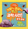 기발하고 괴상하고 웃긴 과학 사전! 엽기상식