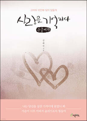 사랑을 기억하다 (큰글씨책)