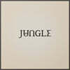 Jungle (정글) - 3집 Loving in Stereo [LP]