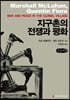 지구촌의 전쟁과 평화 큰글씨책