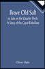 Brave Old Salt; or, Life on the Quarter Deck: A Story of the Great Rebellion