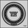 Manhole Covers of the World