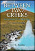 Between Two Creeks: The Mystery of the Blue Mist My First Summer