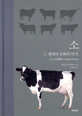 소