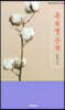 목화별 산책