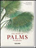 Martius. El Libro de Las Palmeras. 40th Ed.