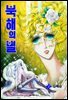 북해의 별 07권