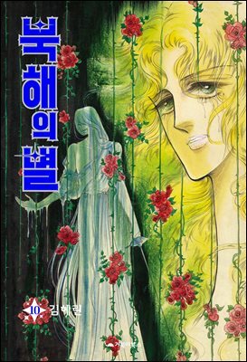 북해의 별 10권