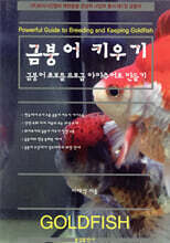 금붕어 키우기