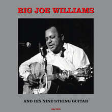 Big Joe Williams (빅 조 윌리엄스) - Big Joe Williams And His Nine String Guitar [LP]