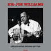 Big Joe Williams (빅 조 윌리엄스) - Big Joe Williams And His Nine String Guitar [LP]