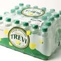 [롯데칠성]트레비 레몬 탄산음료 300ml x 30개입 / 코스트코