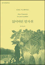 잃어버린 발자취