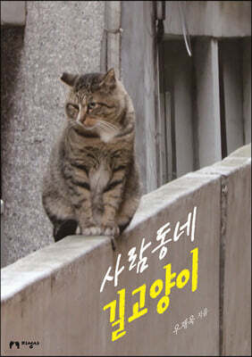 사람동네 길고양이
