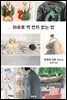 마호로 역 번지 없는 땅