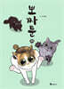 뽀짜툰 9