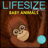 Lifesize Baby Animals
