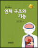 인체 구조와 기능