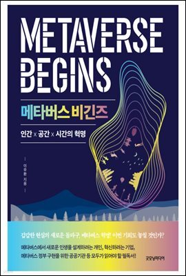 메타버스 비긴즈