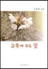 고목에 피는 꽃