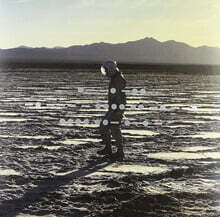 Spiritualized (스피리추얼라이즈드) - 8집 And Nothing Hurt [LP]