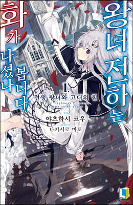 왕녀 전하는 화가 나셨나 봅니다 01권