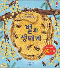 요리조리 열어 보는 벌과 생태계
