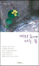 바위 틈에 피는 꽃
