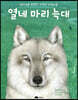 열네 마리 늑대